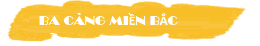 dự đoán chuẩn cặp 3 càng víp mb